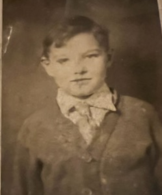 A boy stands calmly, dressed in a sweater and collared shirt, with a soft expression.