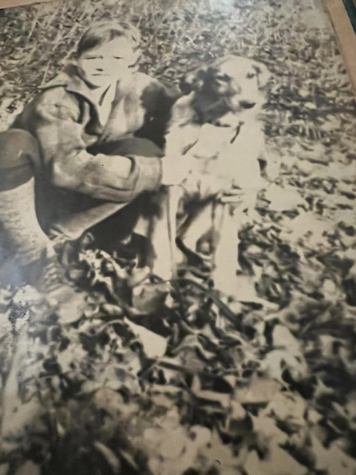 Child smiles while sitting next to a dog in a sea of colorful leaves outdoors.