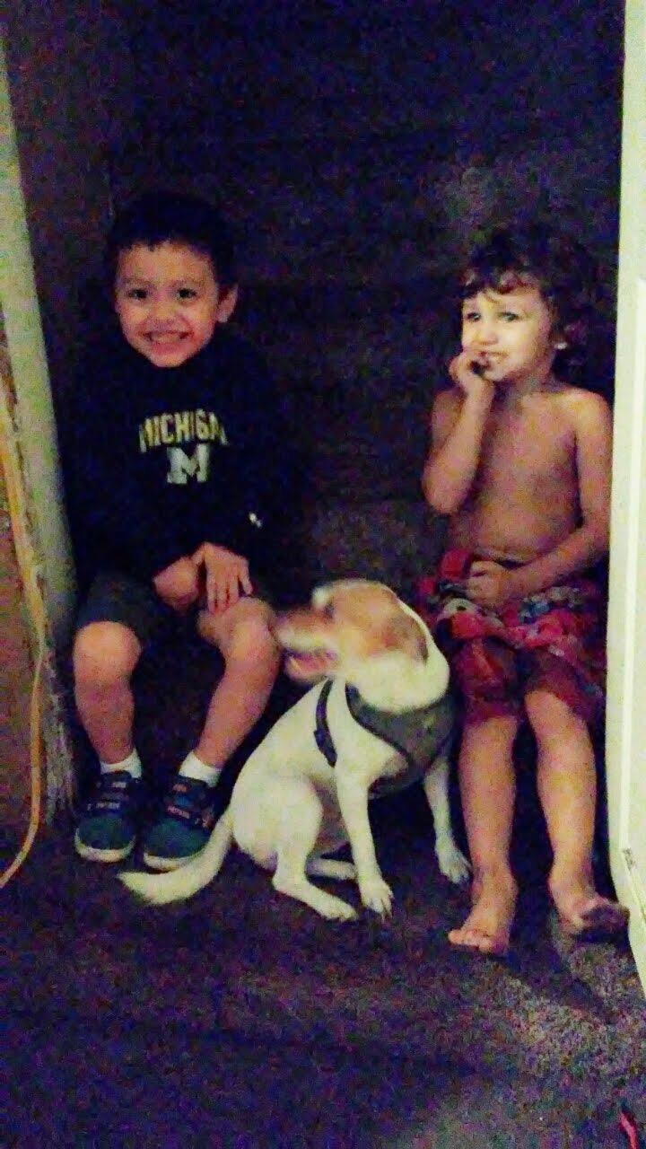 Two boys and a dog share an amusing moment on the stairs, highlighting childhood joy.