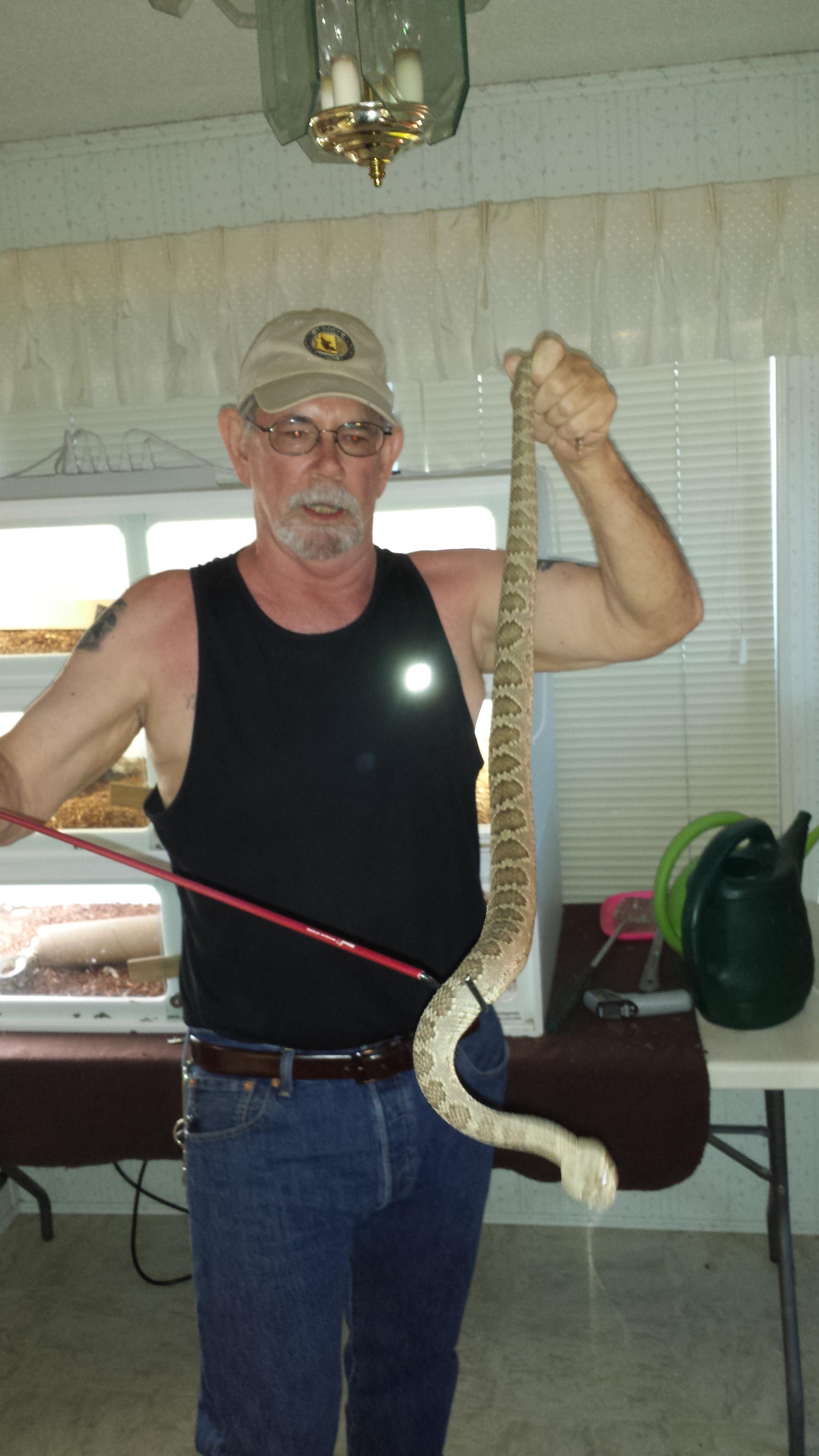 A man showcases a large snake in a home setting, displaying his skills with reptiles.