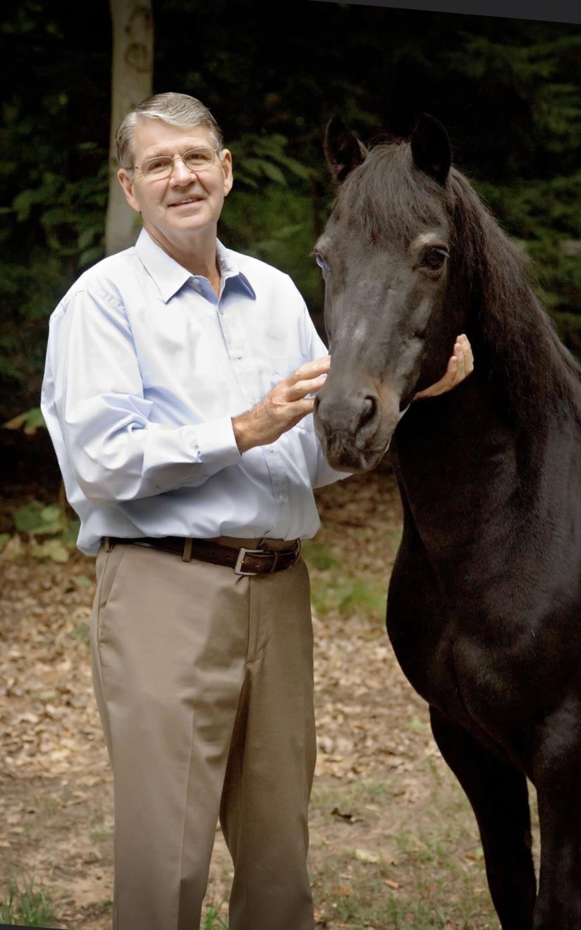 A man interacts tenderly with a black horse in a serene forest setting.