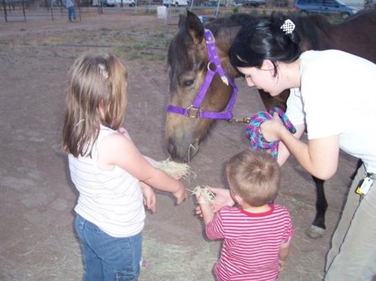 A group of children feeding a horse