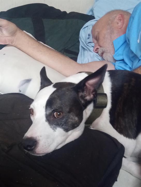 Man takes a peaceful nap on the couch while a dog rests closely next to him.