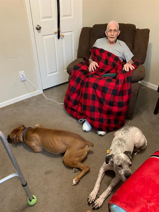 A man sitting in a chair with two dogs lying on the floor