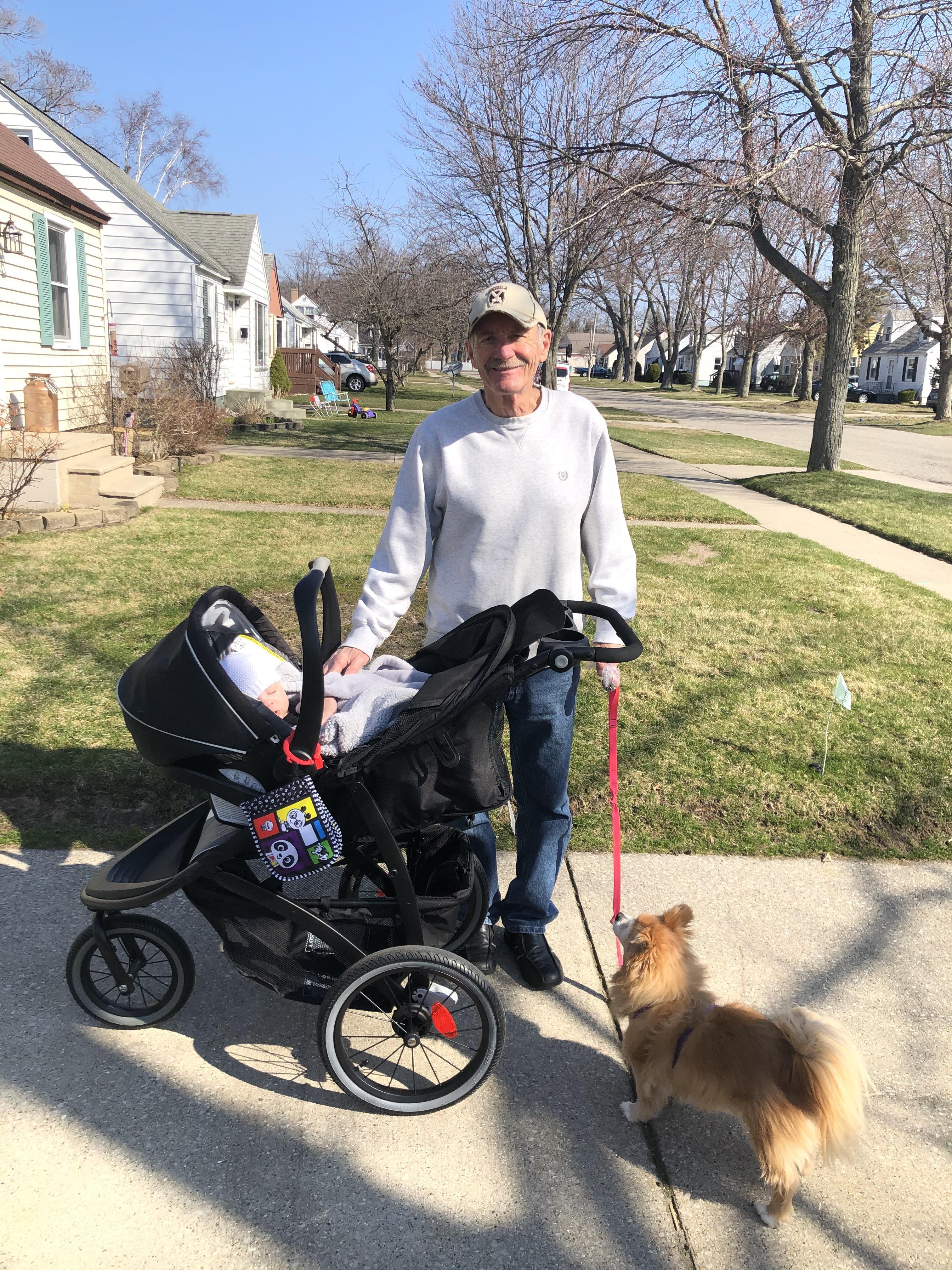A woman walks a dog alongside a stroller with a baby in a peaceful neighborhood.