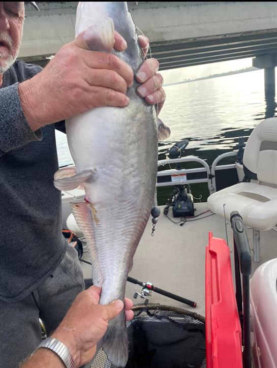 A man holding a fish