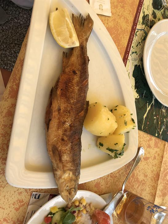 A fish and potatoes on a plate