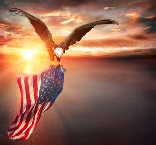 An eagle carries the American flag high in the sky as the sun sets on the horizon.