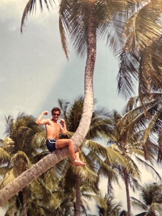 A carefree man is perched on a palm tree branch, soaking up the sun in a tropical setting.