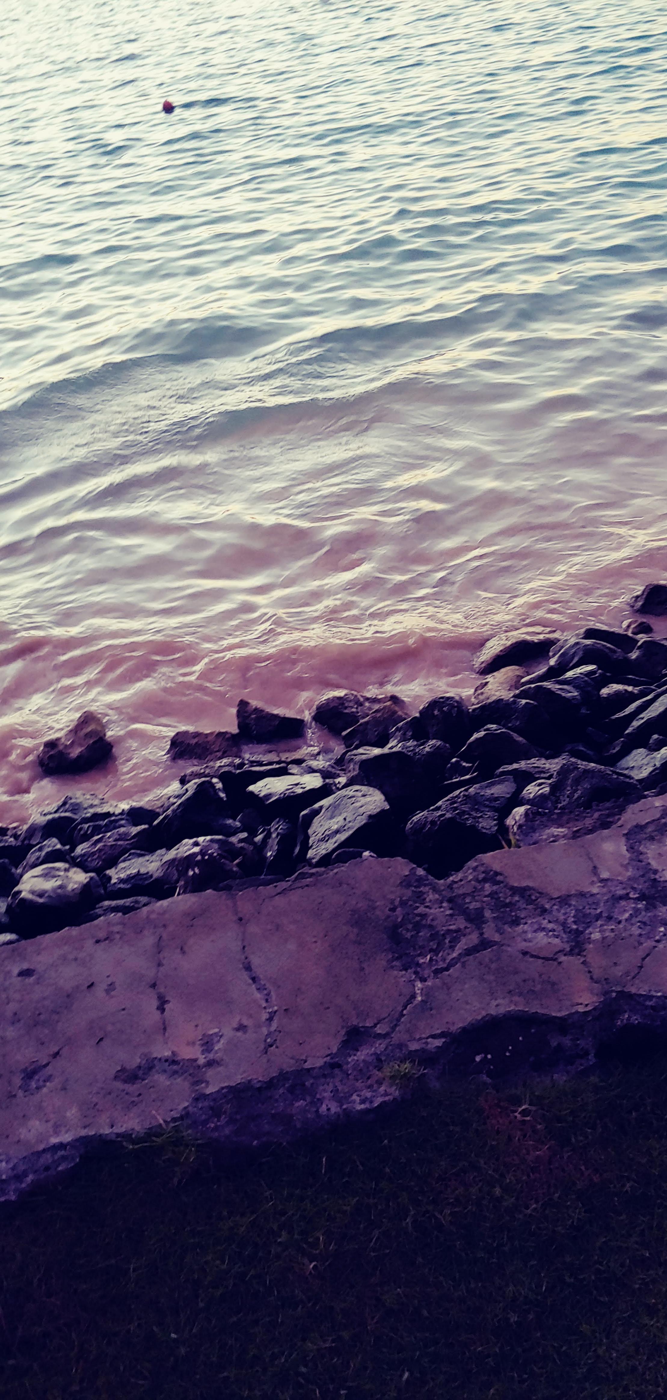 Waves softly touch the dark stones along the shore during a vibrant sunset, enhancing tranquility.