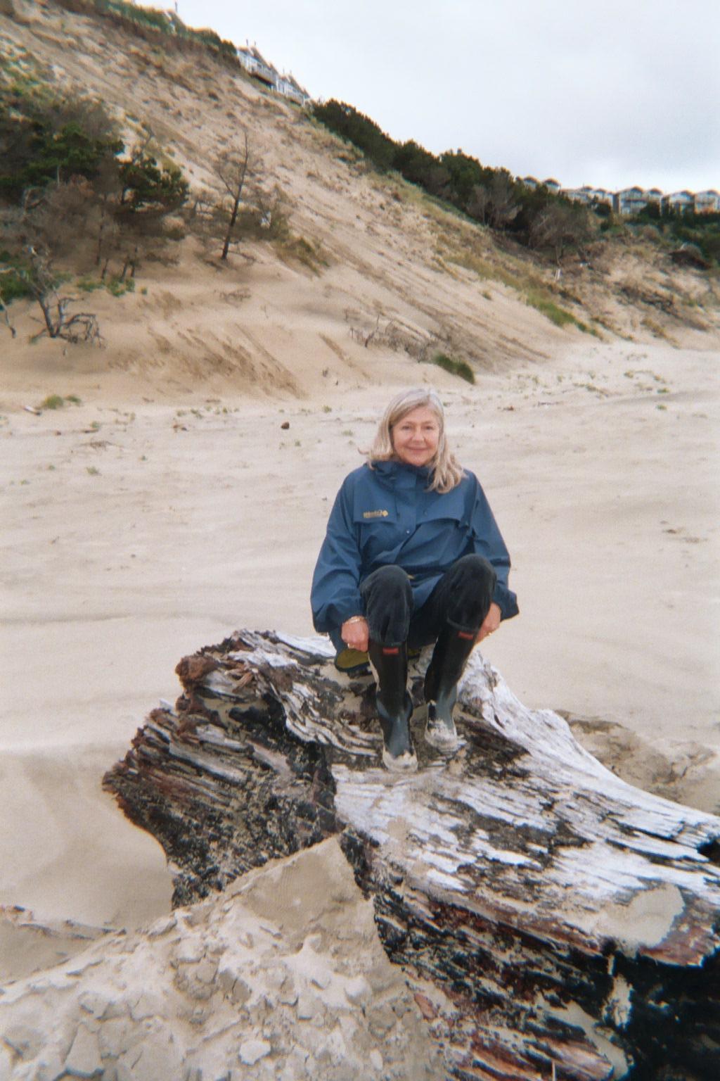 Person enjoys the coastal landscape by sitting on driftwood while clouds dominate the sky.