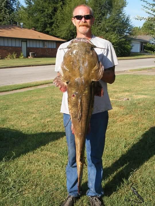 A fisherman stands in a backyard, showcasing a large catfish he just caught in a nearby river.