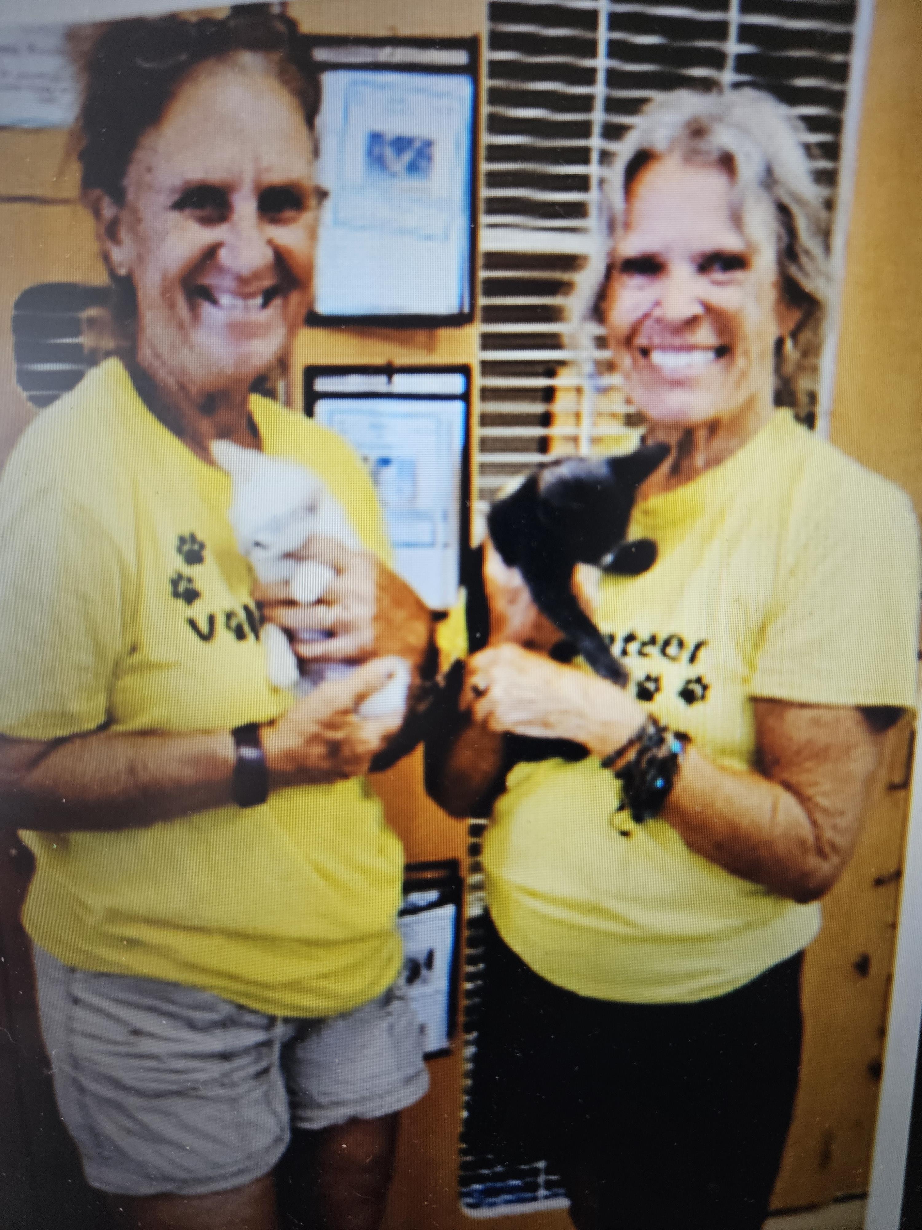 Volunteers with kittens pose happily inside an animal shelter on a sunny weekend.