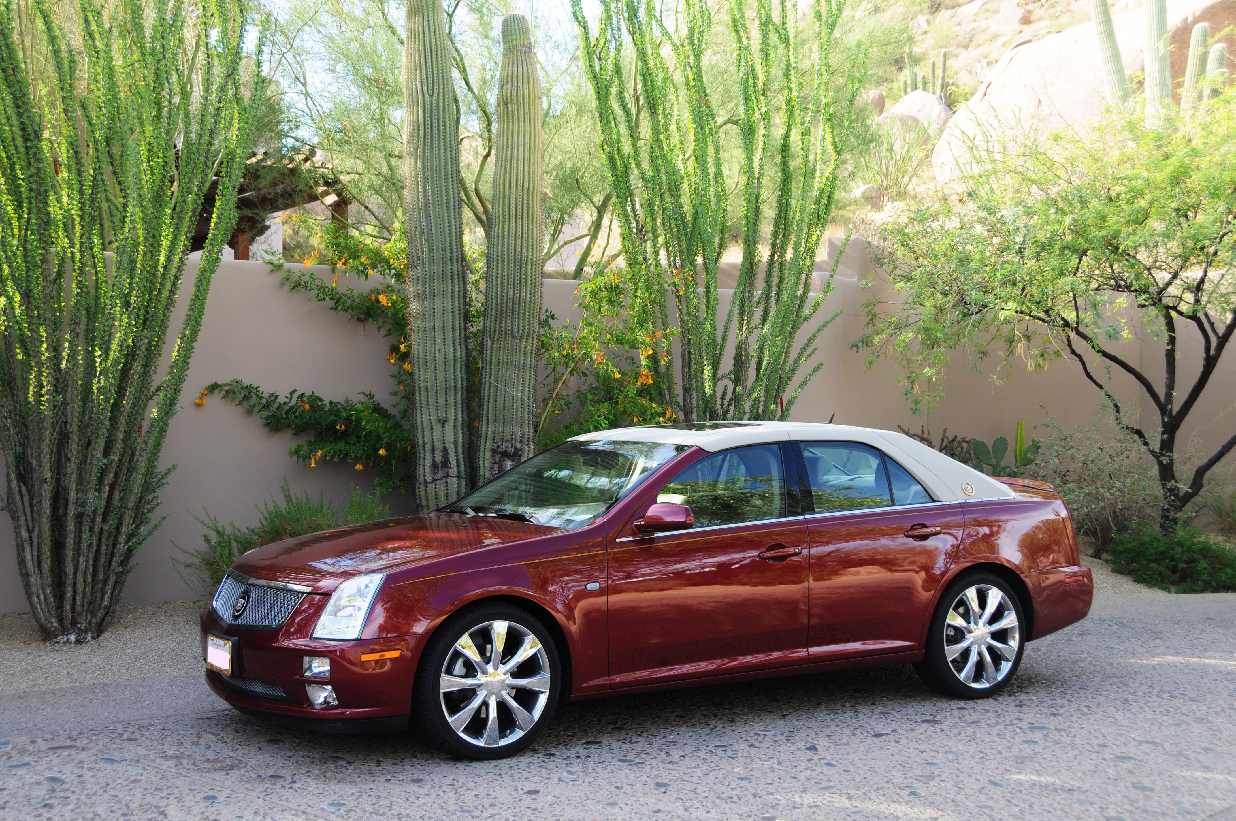 A red luxury sedan parked by cacti in a sunny desert, flaunting its sleek design.