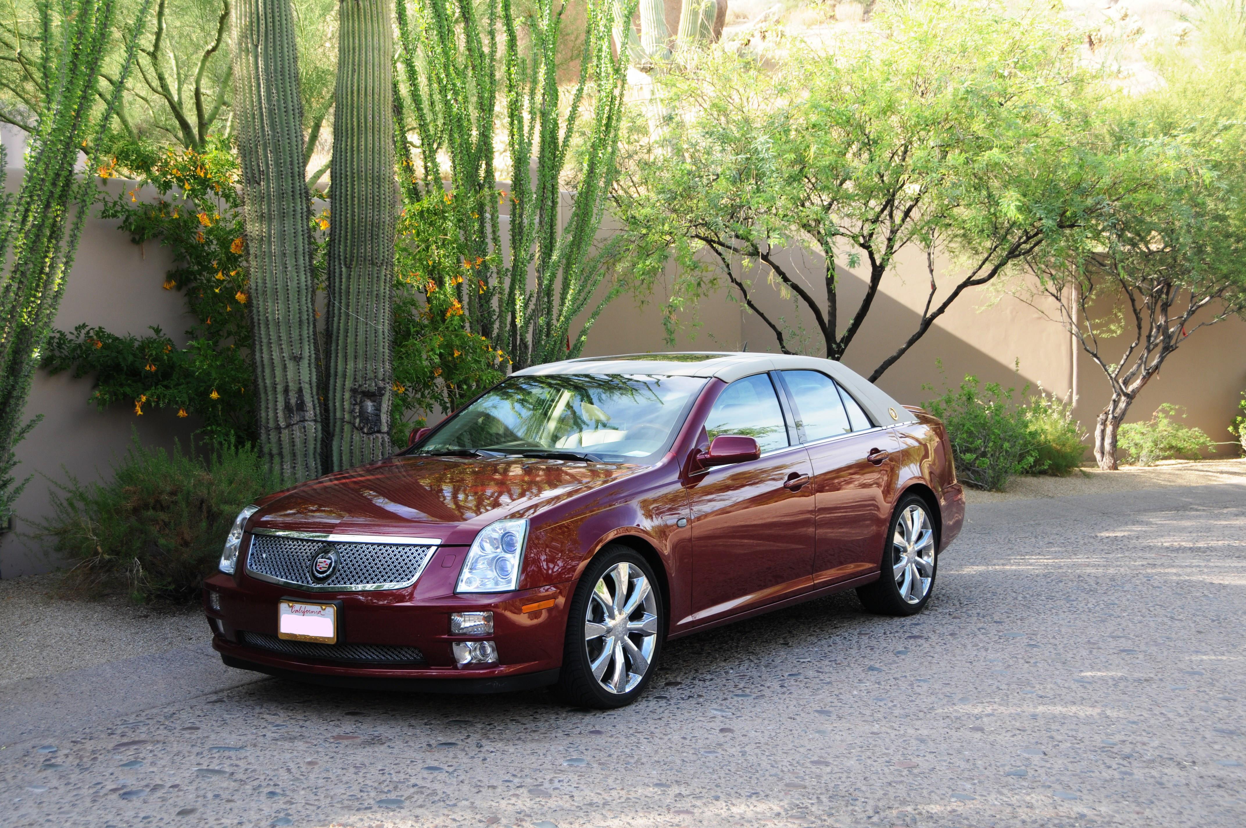 A sleek red sedan is parked on a gravel path surrounded by vibrant greenery and tall plants.
