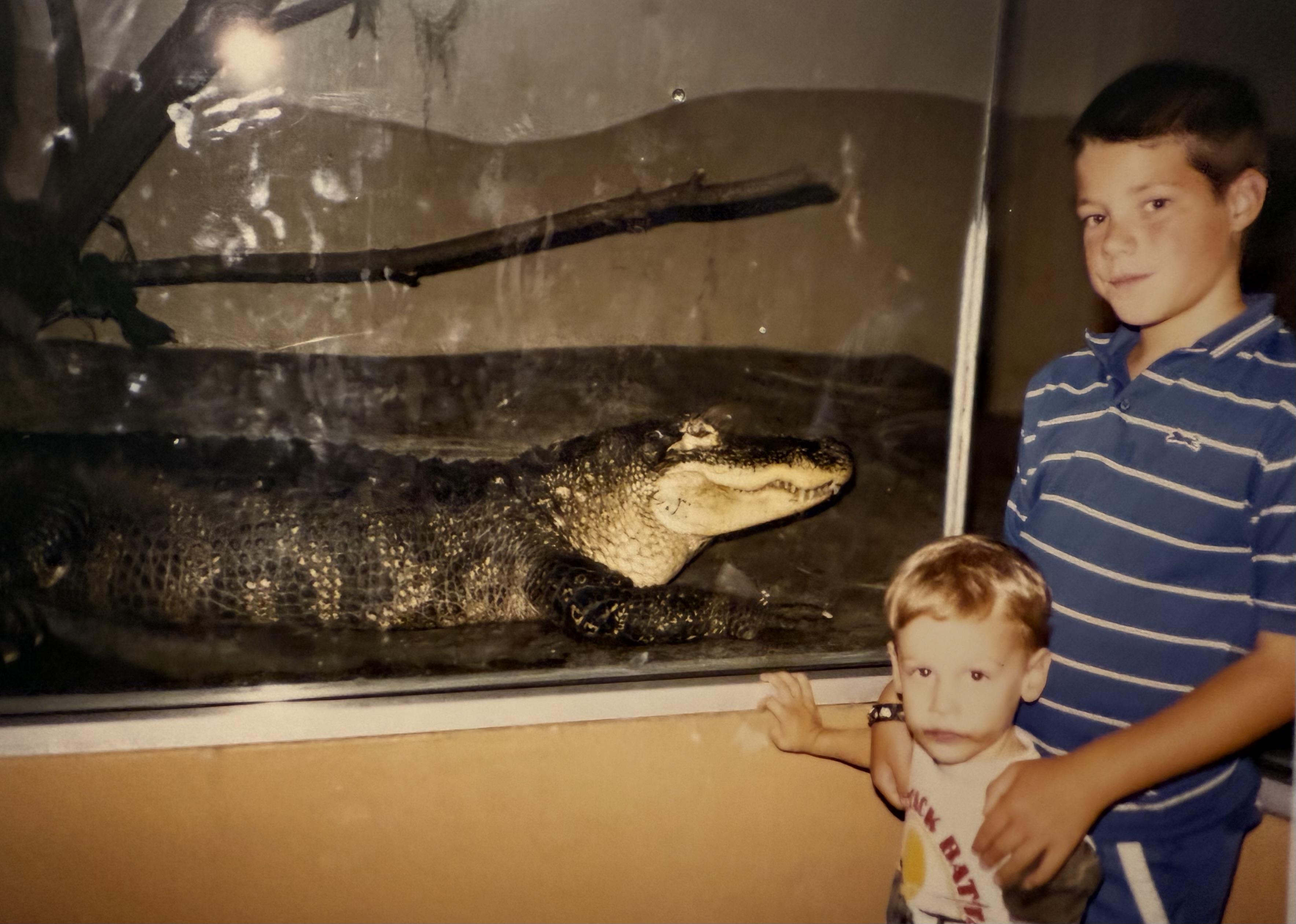 Two children look at a large alligator through the glass at the aquarium.