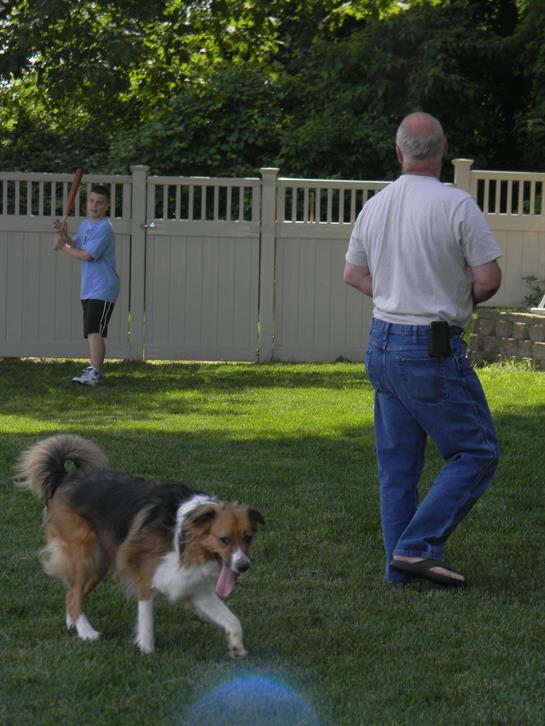 A man and dog playing with a bat