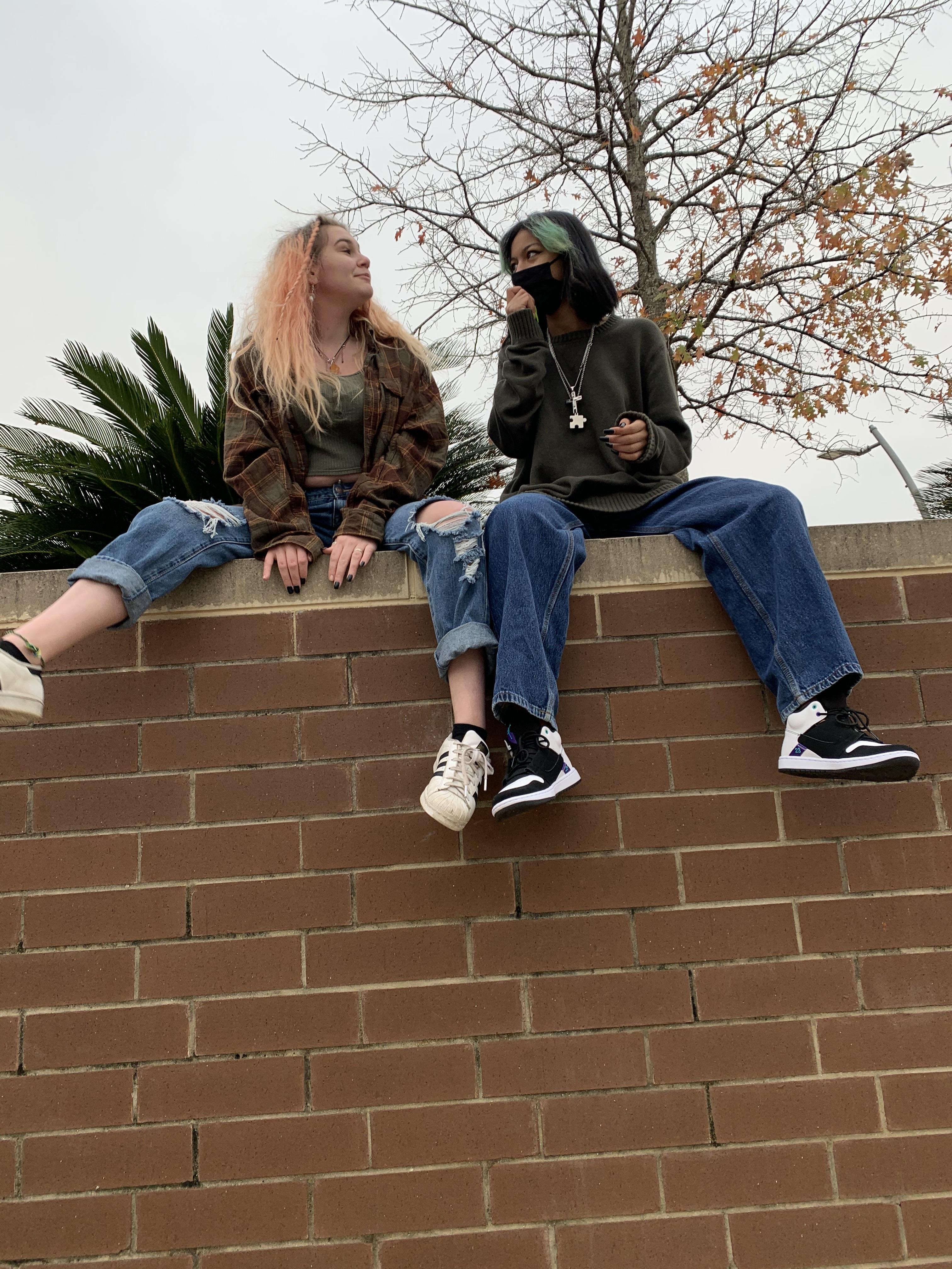 Two women sitting on a brick wall