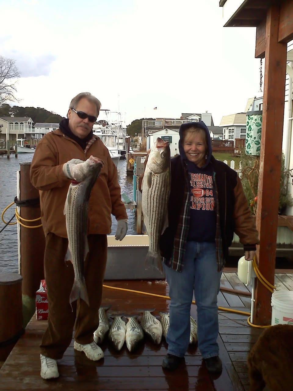 Two people hold large striped bass while standing on a wooden dock near a marina.