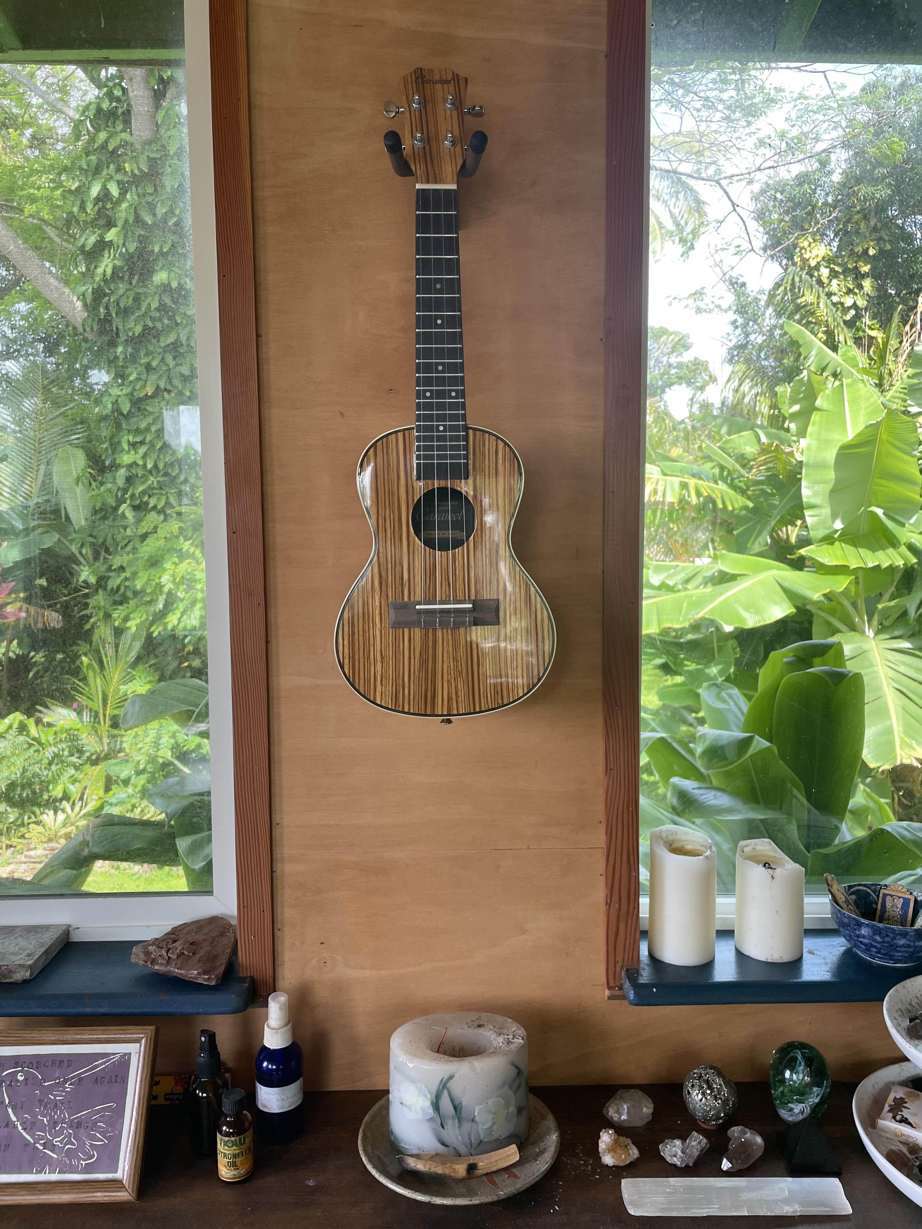 A wooden ukulele hangs on the wall in a cozy room filled with plants and decorative objects.