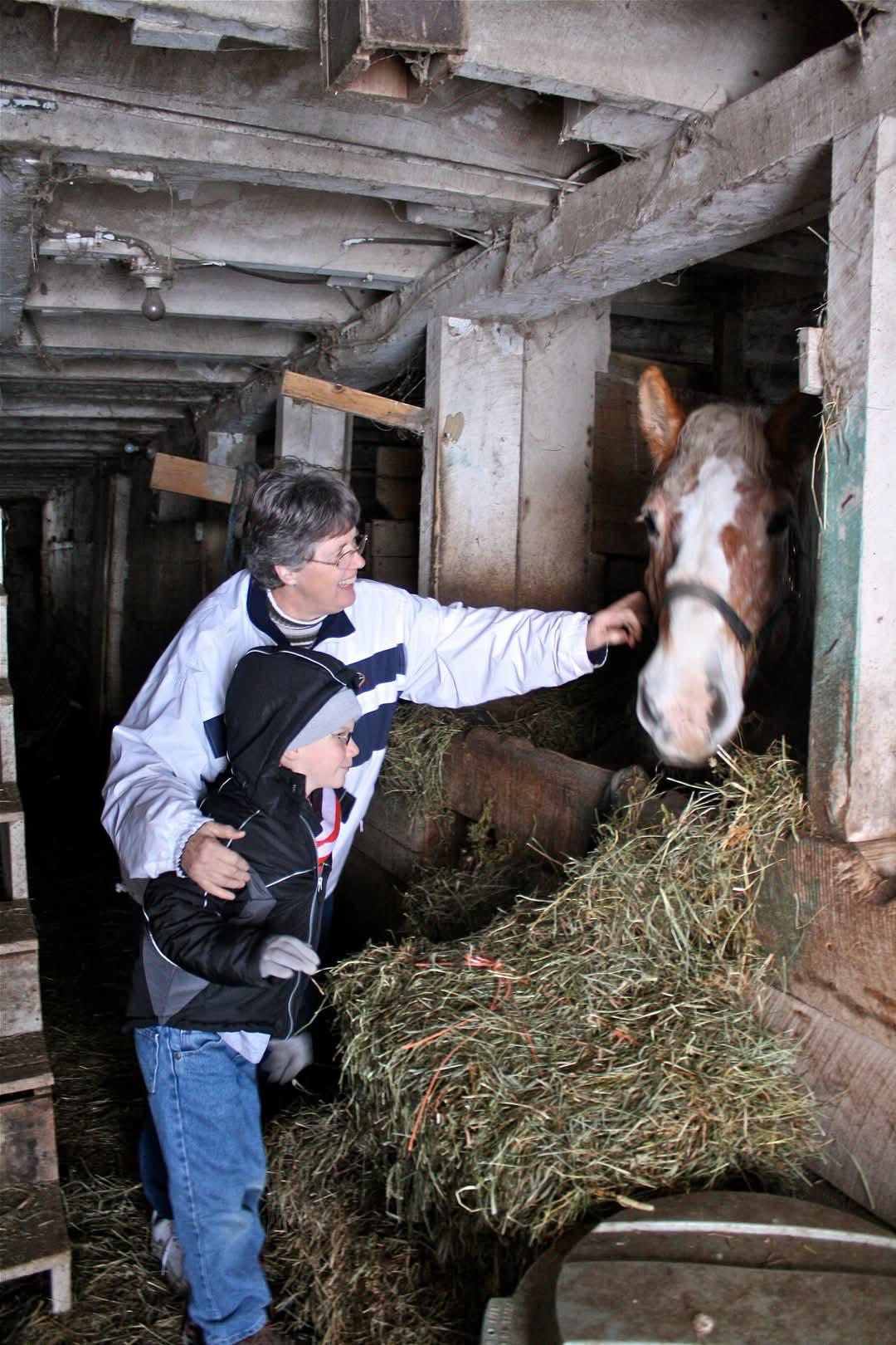 A man and a boy visit a barn, feeding hay to a friendly horse while enjoying quality time together.