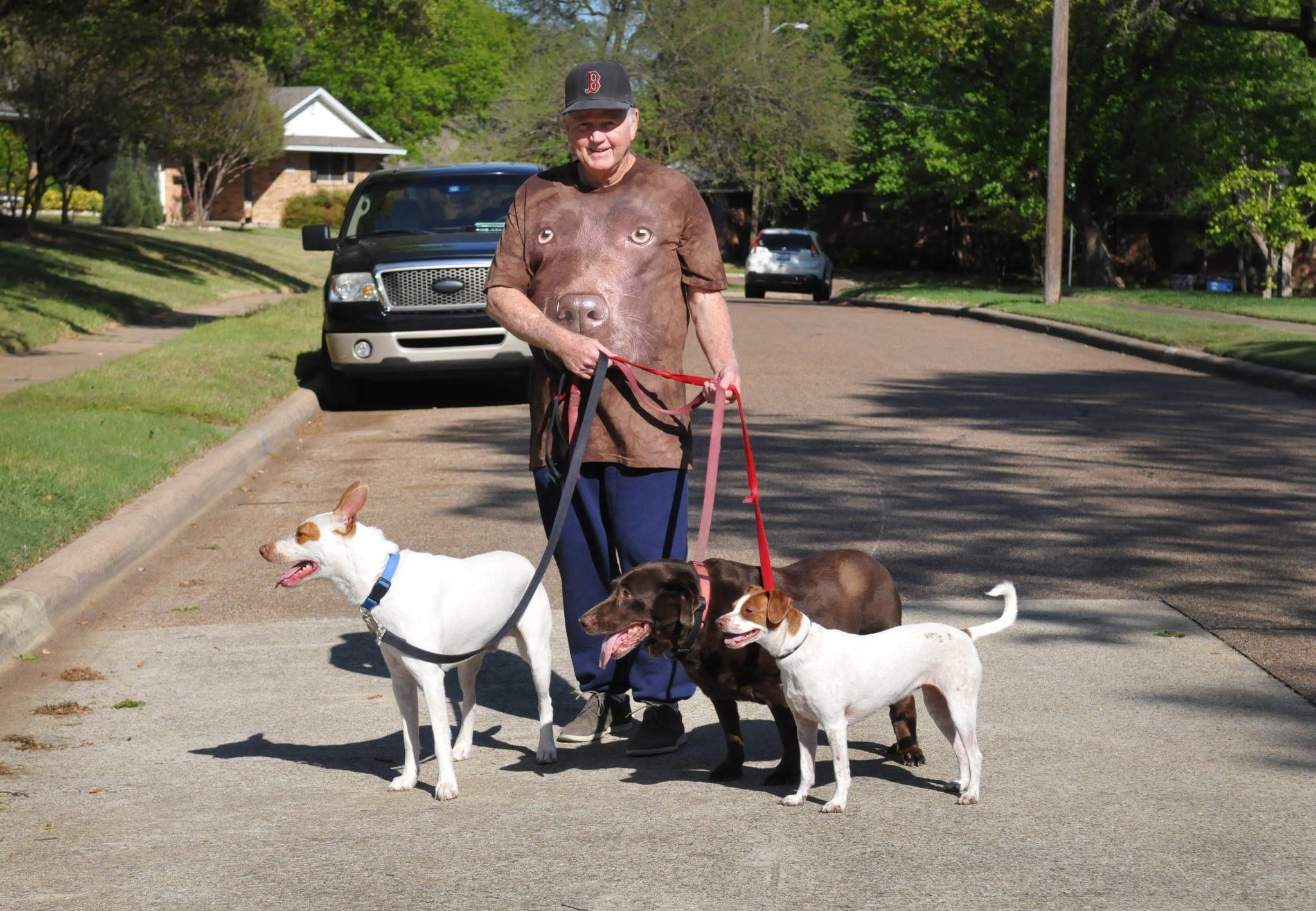 A man in a unique shirt enjoys walking four dogs on a peaceful street lined with trees.
