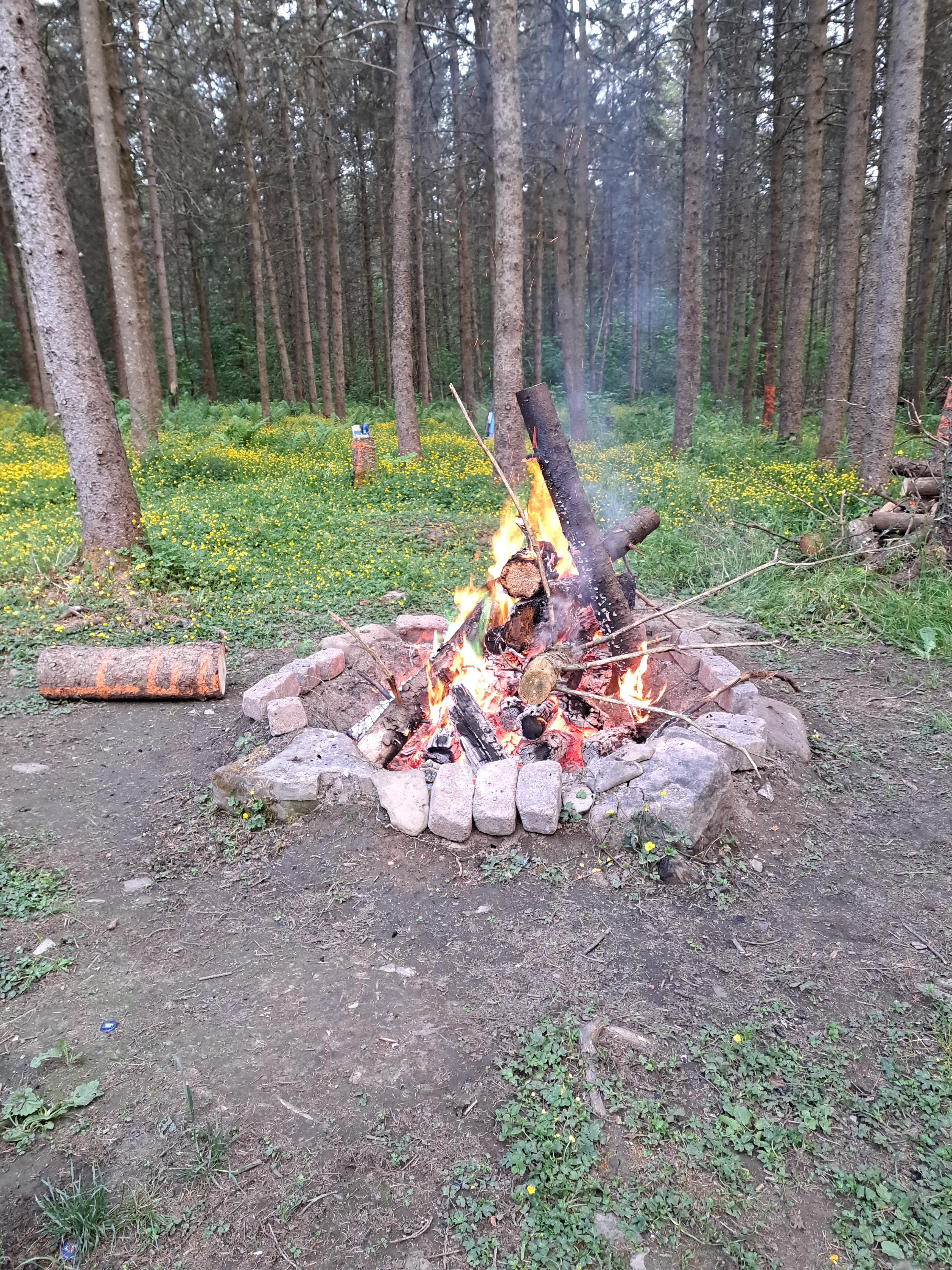A campfire crackles in a stone circle surrounded by tall trees and vibrant wildflowers.
