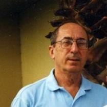 Man wearing a light blue shirt poses next to a palm tree under bright sunlight.
