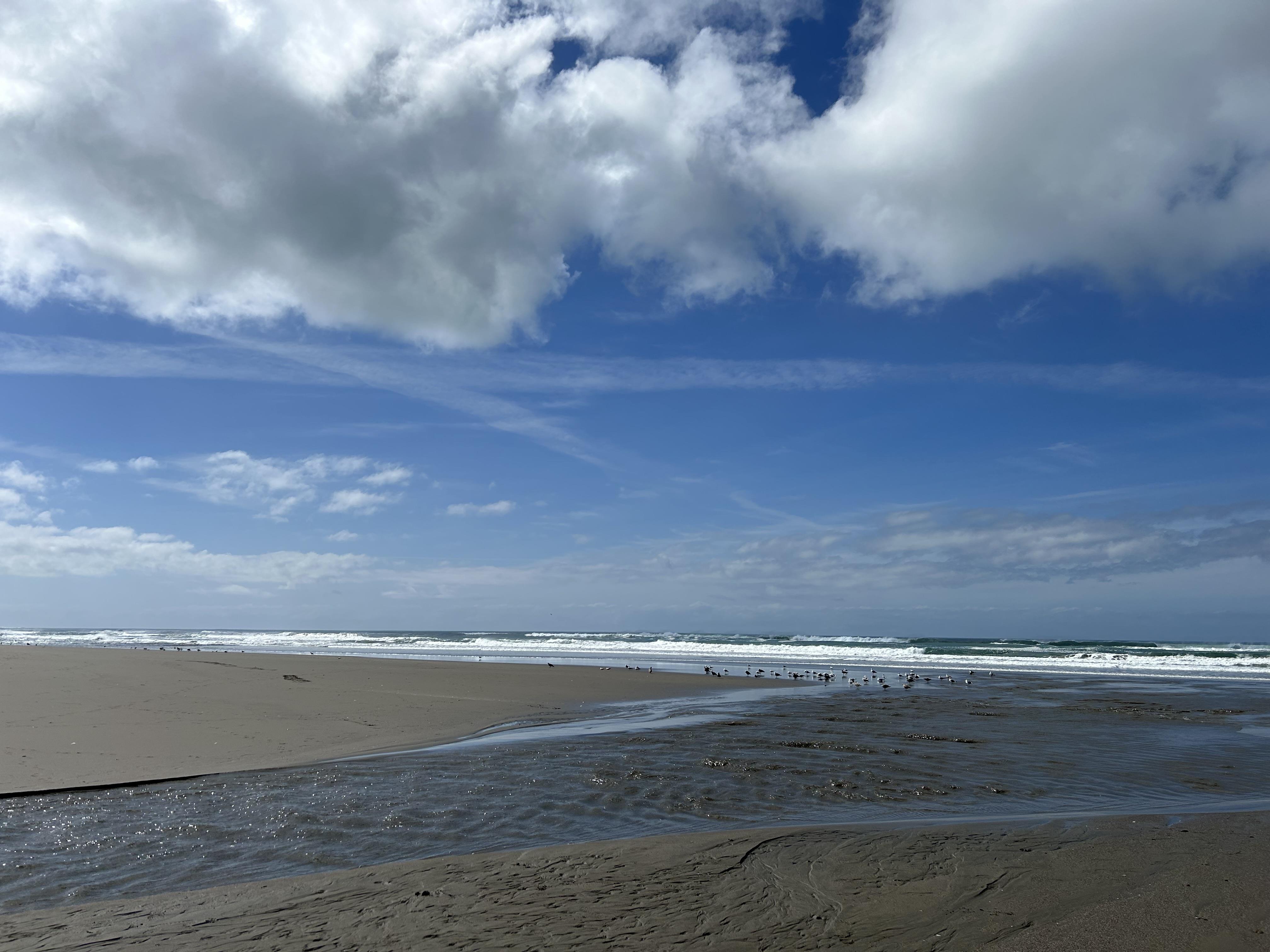 Relaxing beachfront view with soft waves rolling onto sandy shore under a bright sky.