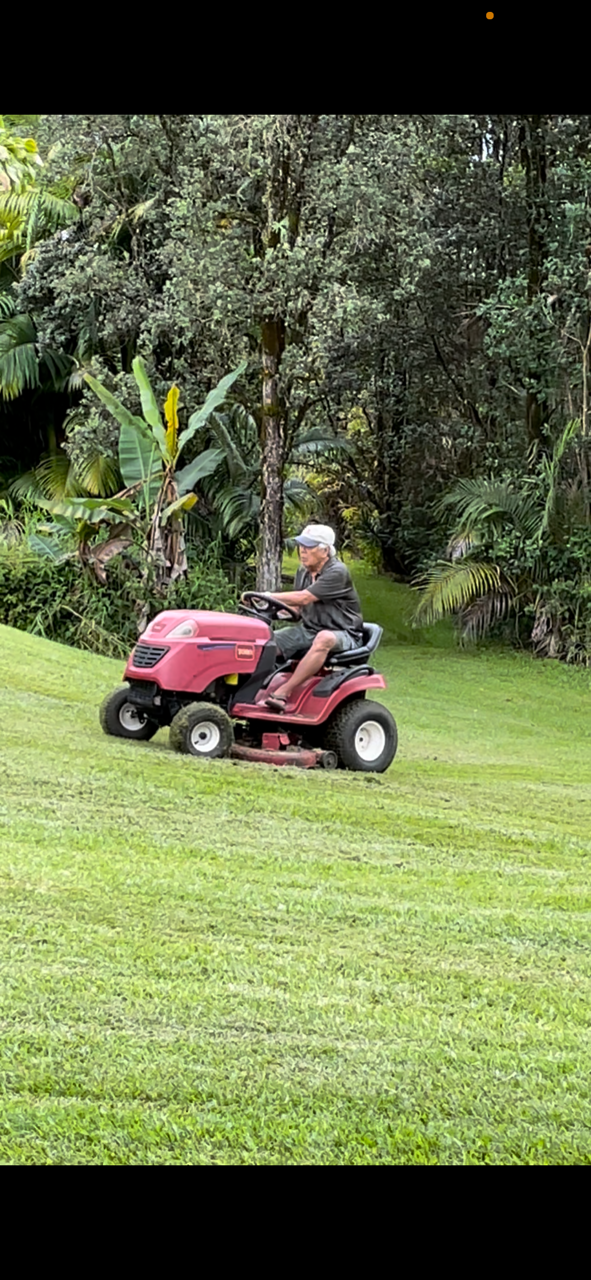 A man operates a riding lawn mower to maintain the lawn in a vibrant garden surrounded by greenery.
