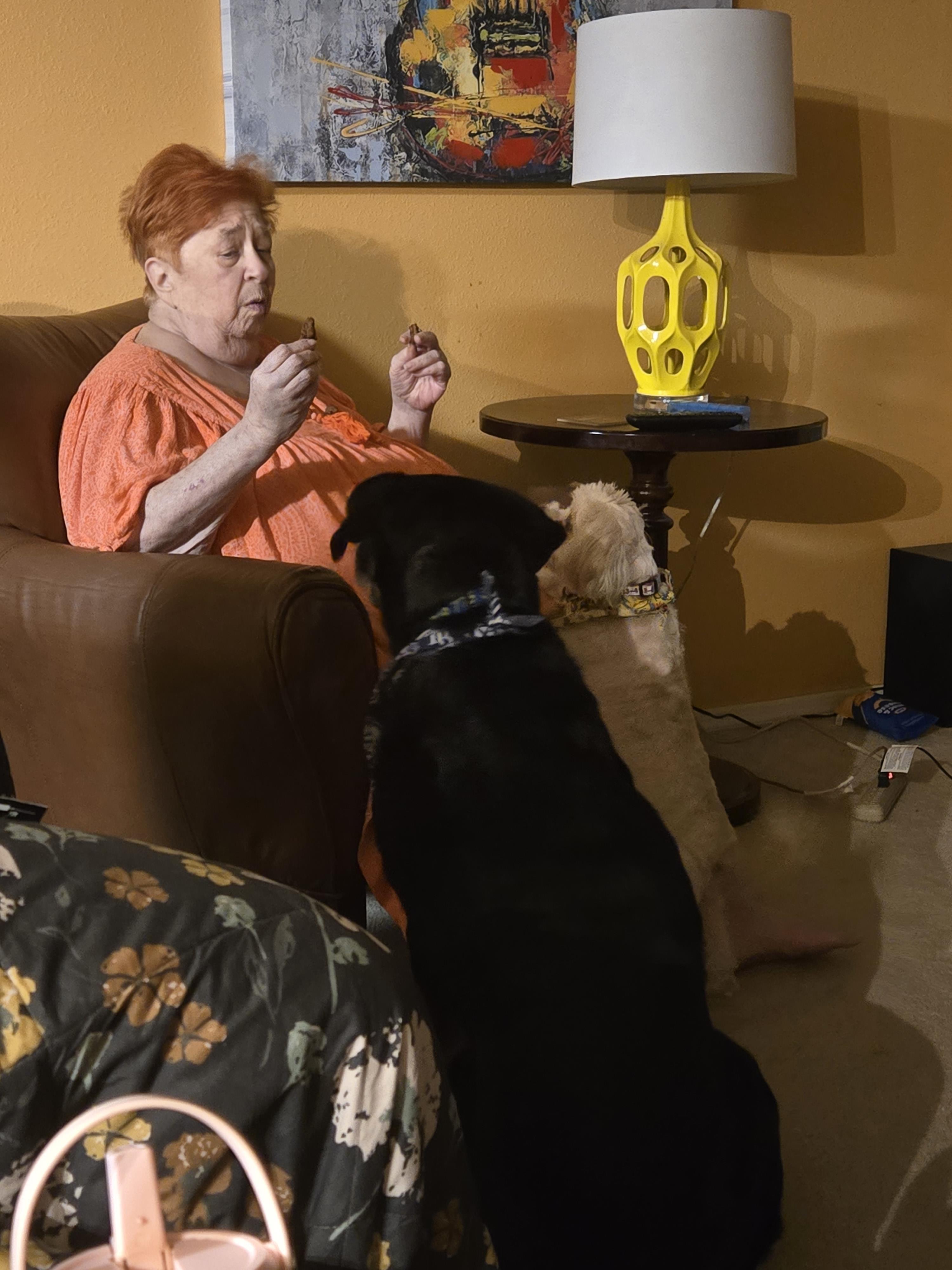 An older woman sits in a chair, sharing treats with her two dogs in a comfortable living area.