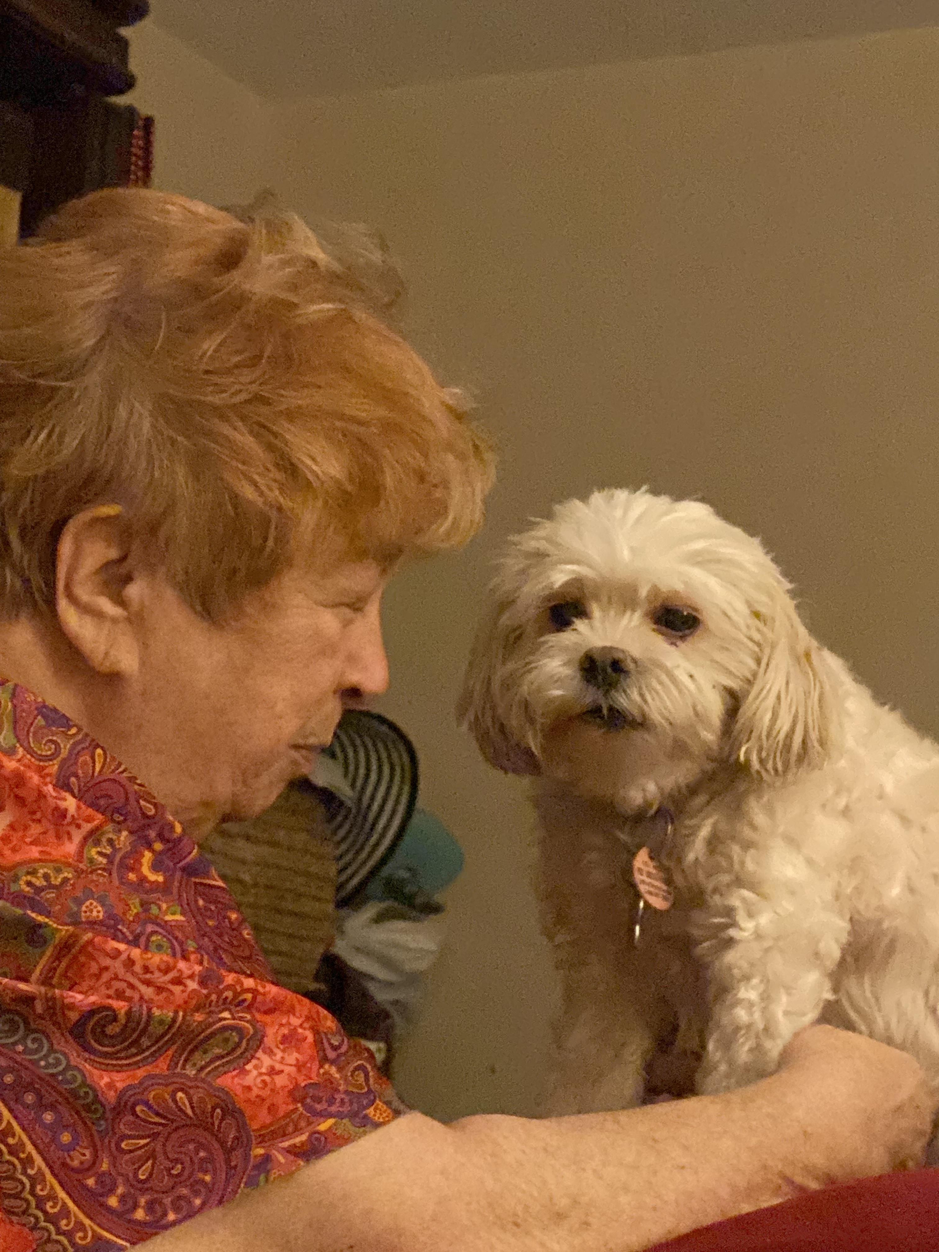 A woman and her fluffy dog share a tender moment in a warm living space during the evening.