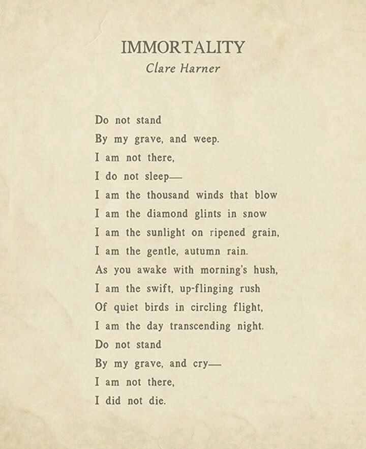 A poem beautifully connects life, death, and nature through poignant verses.