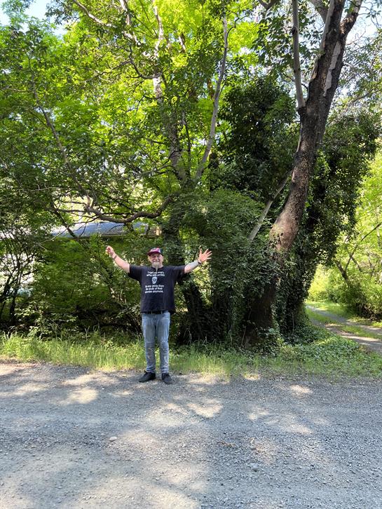 A man standing in front of a tree