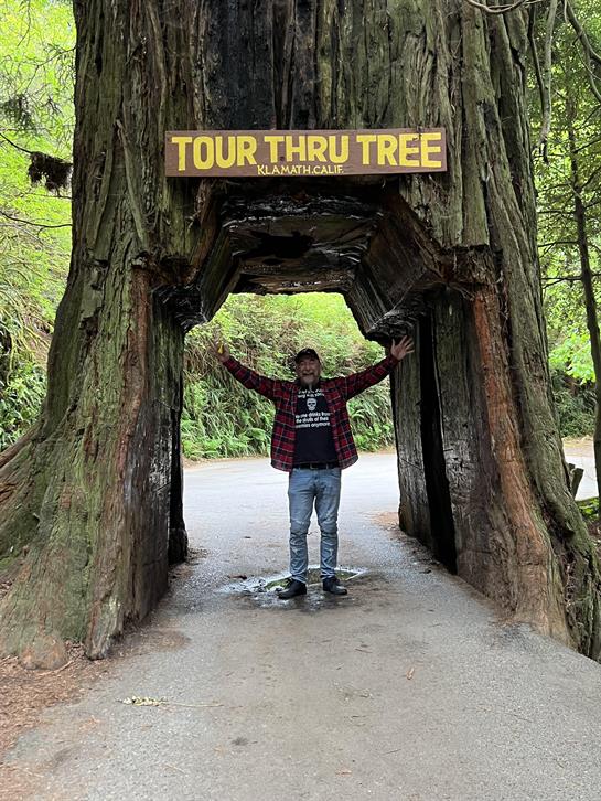 A man standing under a tree