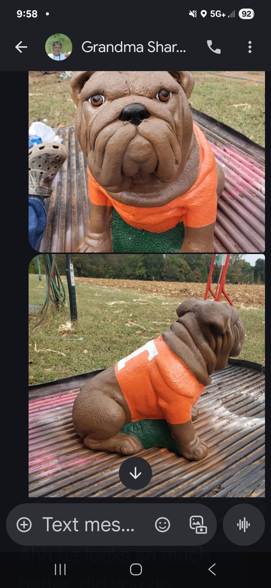 A bulldog statue dressed in an orange shirt rests on a garden surface surrounded by greenery.