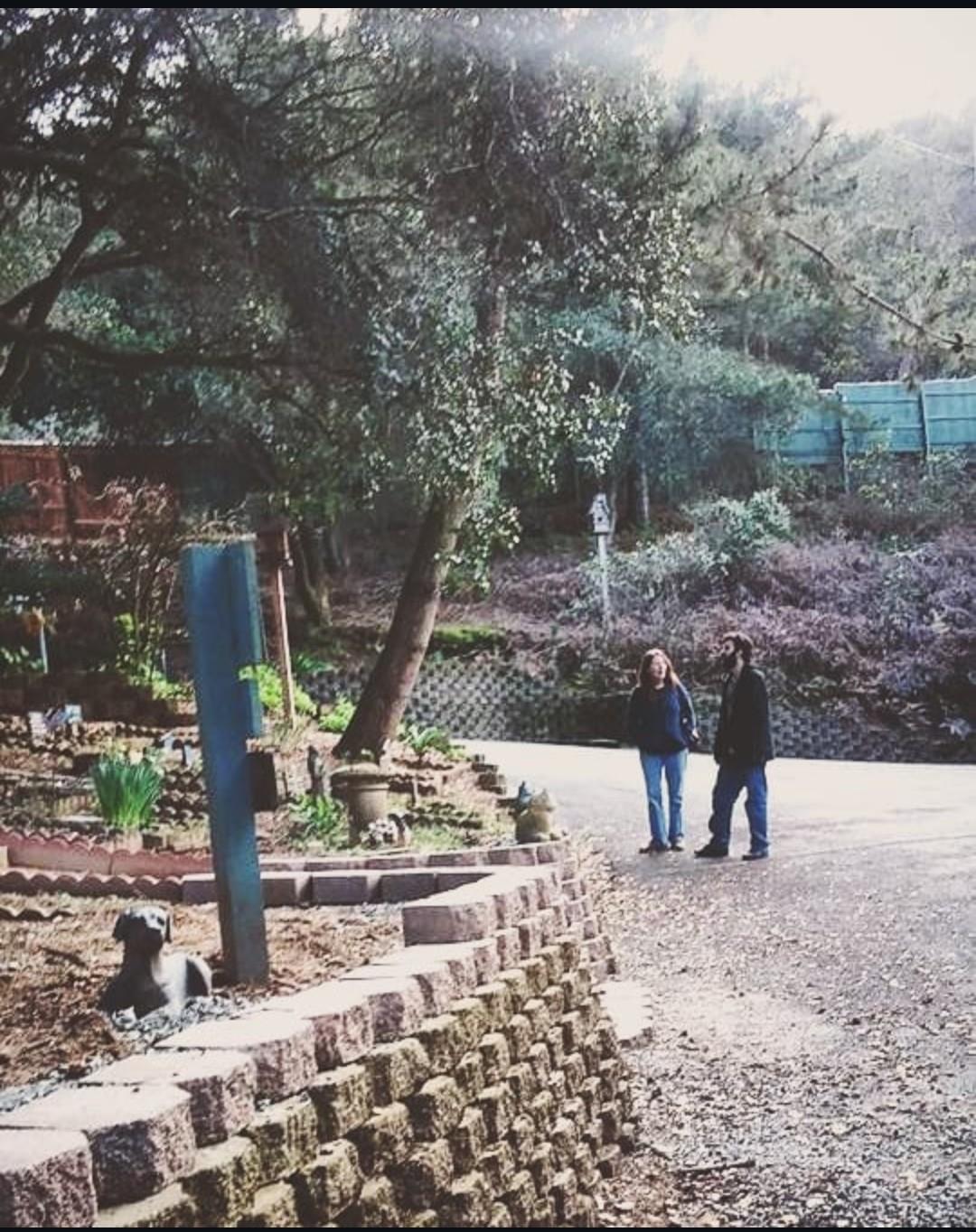 Visitors stroll peacefully in a lush garden under a gentle mist, enjoying the scenery.