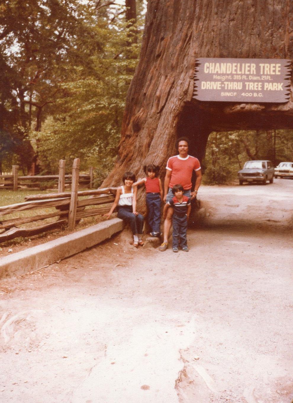 A family poses for a photo beneath the Chandelier Tree at Drive-Thru Tree Park during the 1970s.
