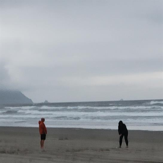 People on a beach looking at the ocean