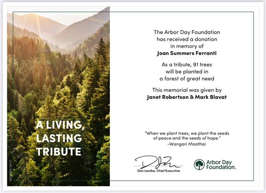 A card with a landscape of trees and a picture of a forest