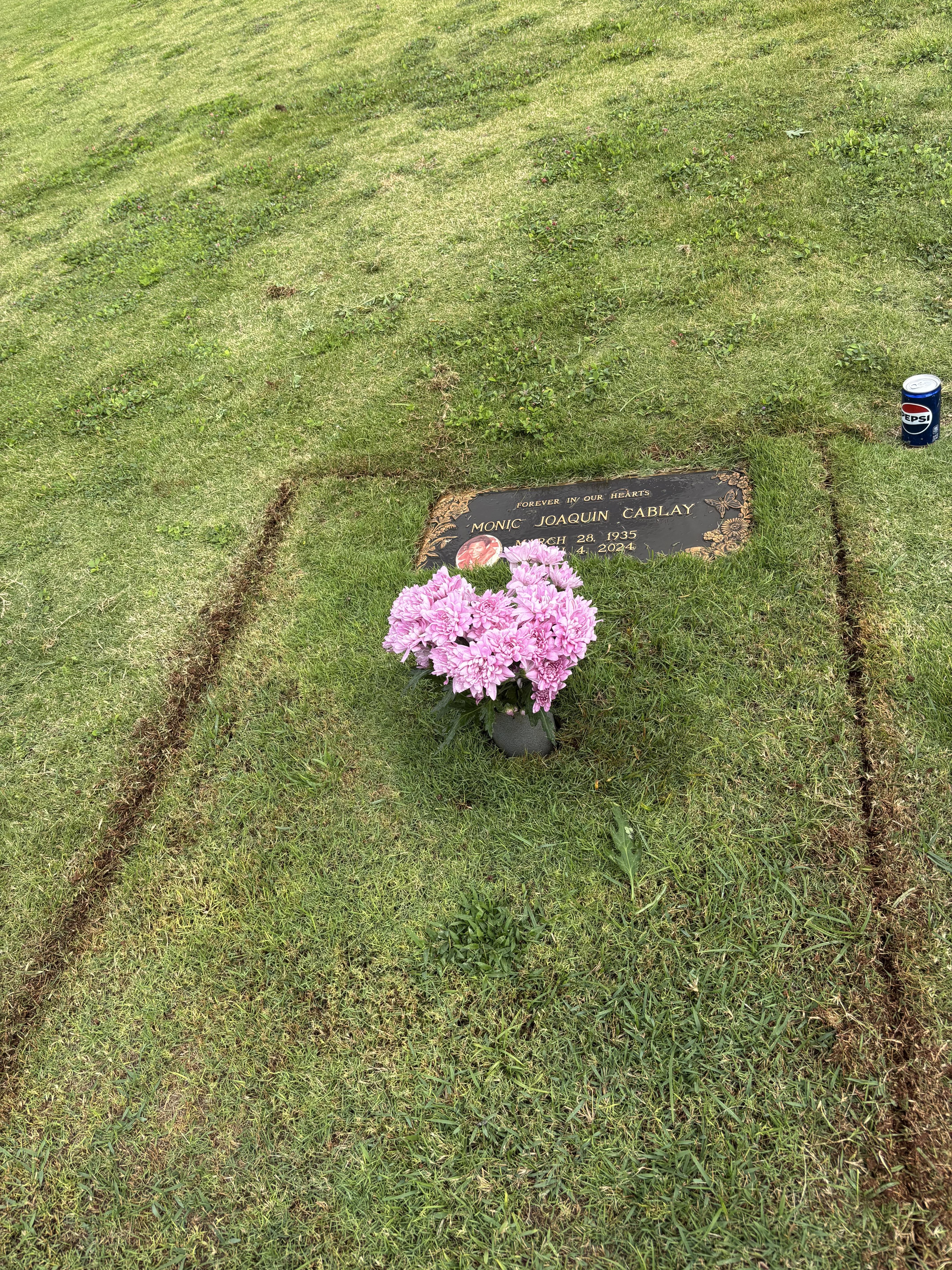 A grave stone in a grassy field