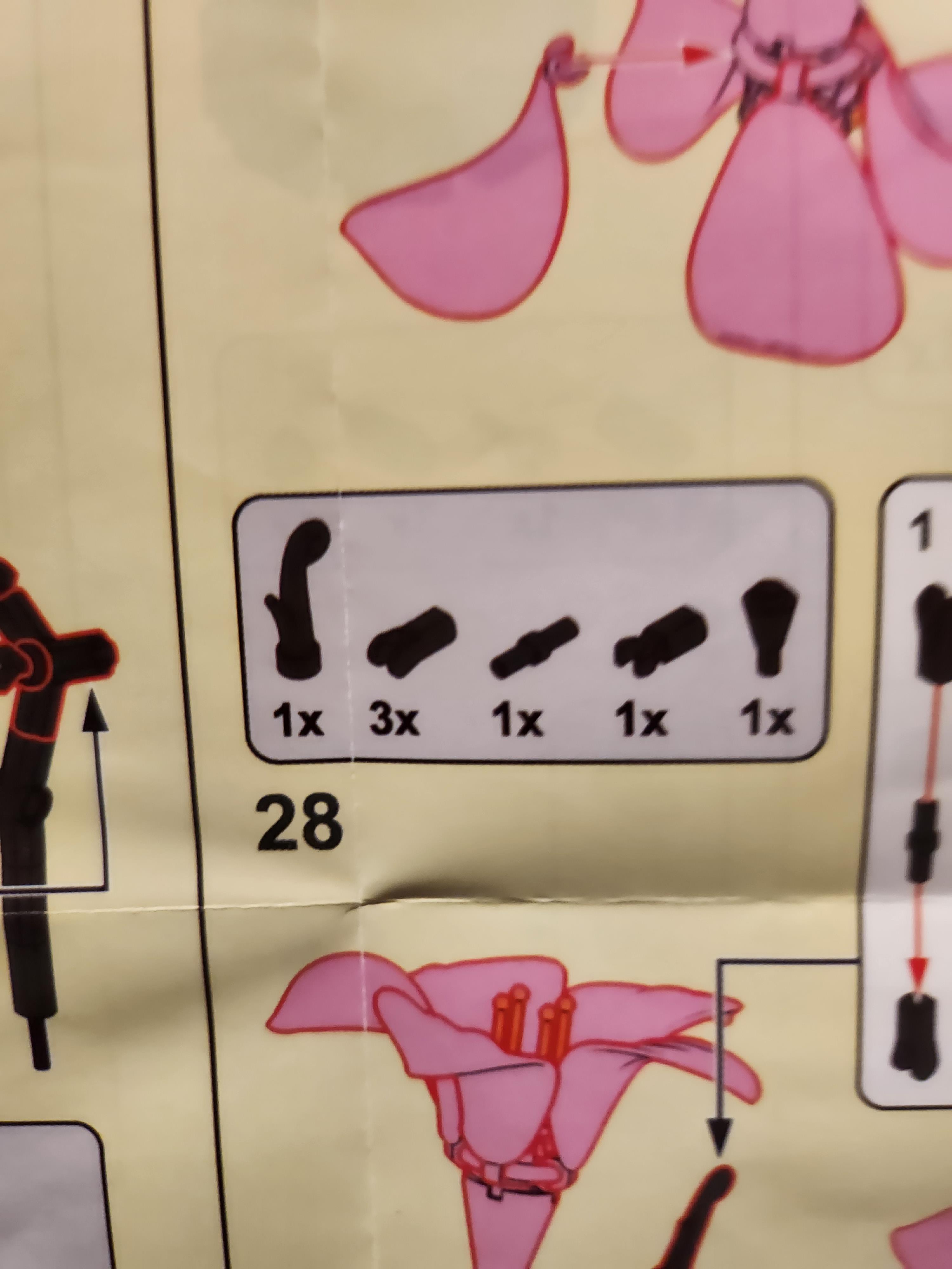 A diagram of a flower