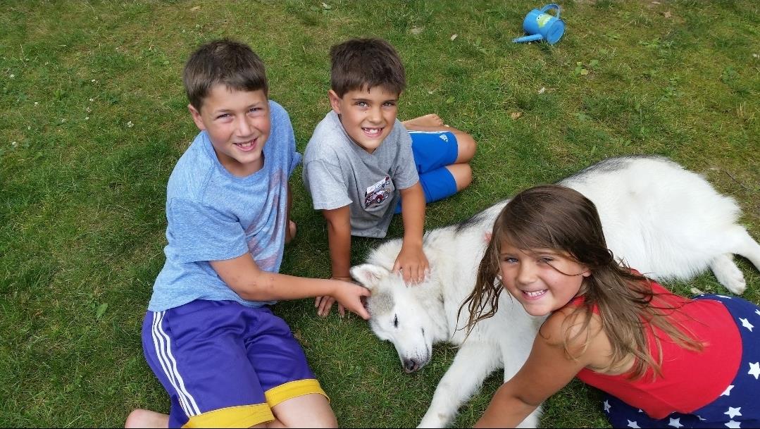Three children are playing with a white dog in a lush green yard on a sunny day.