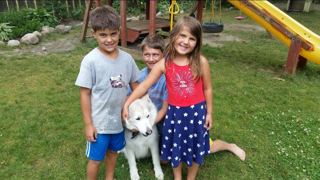 Three children interact with a fluffy dog in a green yard filled with outdoor play equipment.