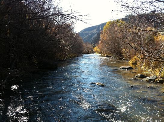 A river with rocks and trees
