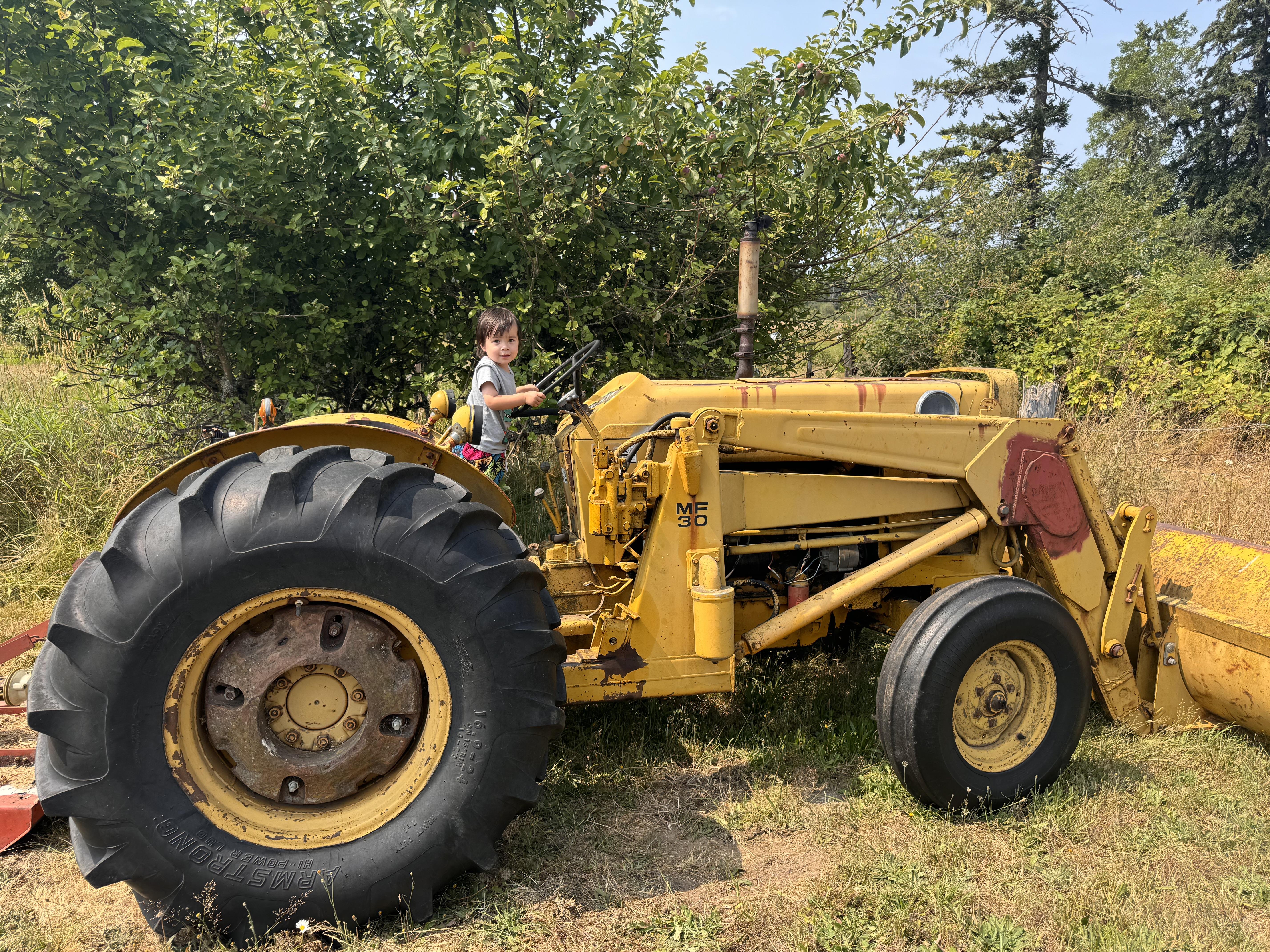 A young child sits happily on a vintage yellow tractor surrounded by trees and tall grass.