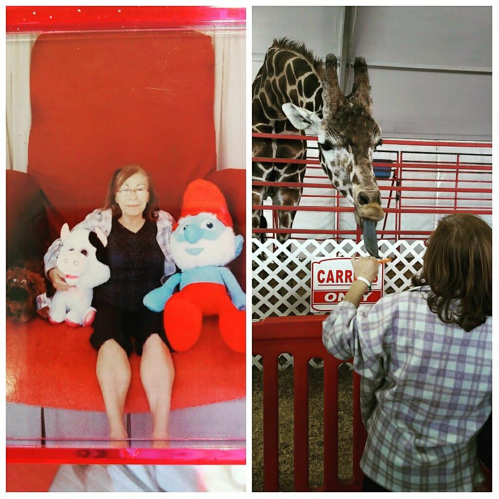 A girl sits on a large red chair with stuffed toys and feeds a giraffe at a fair.