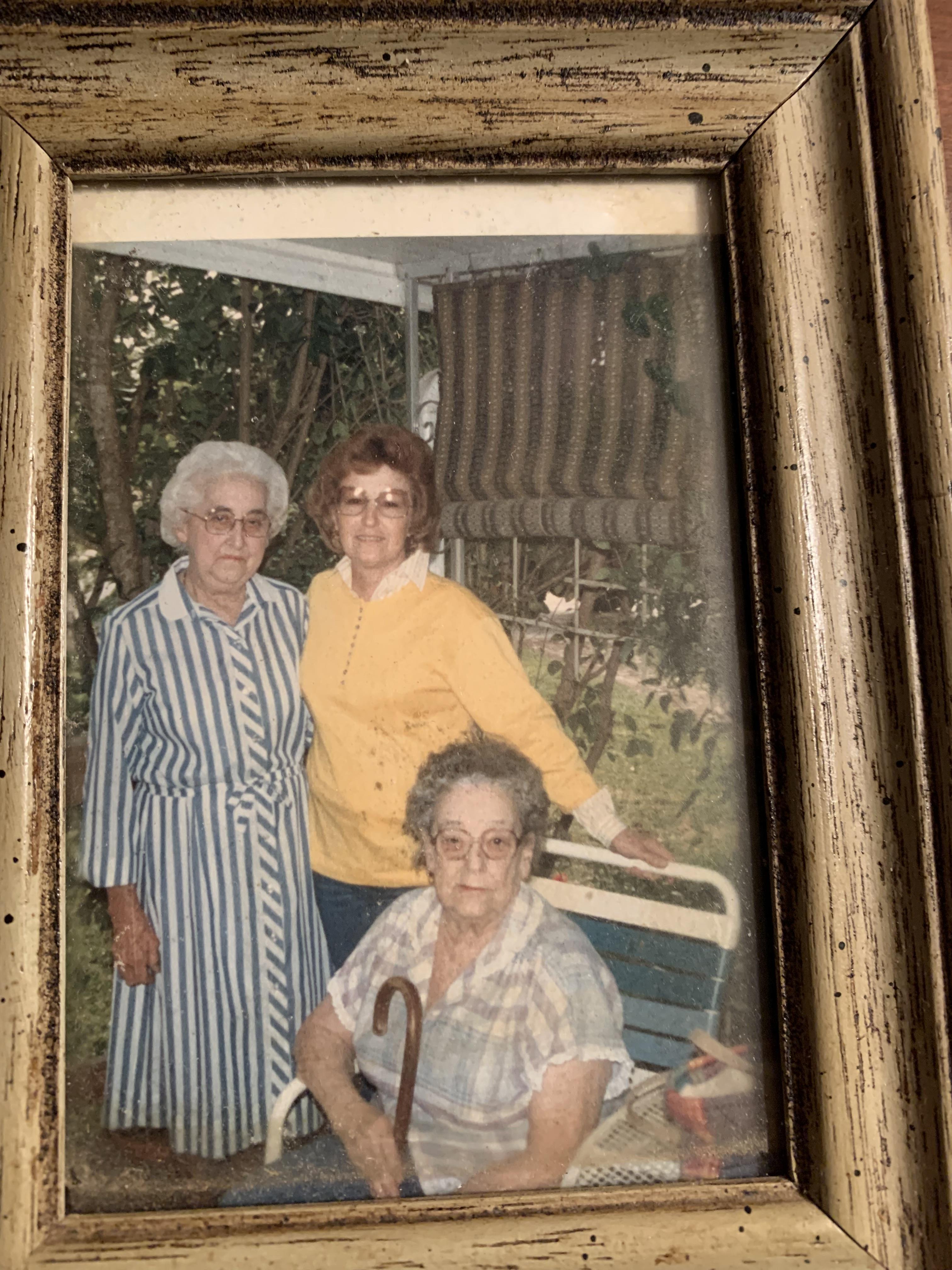 Three elder women enjoy each other's company in a backyard, reminiscing under a sunny sky.