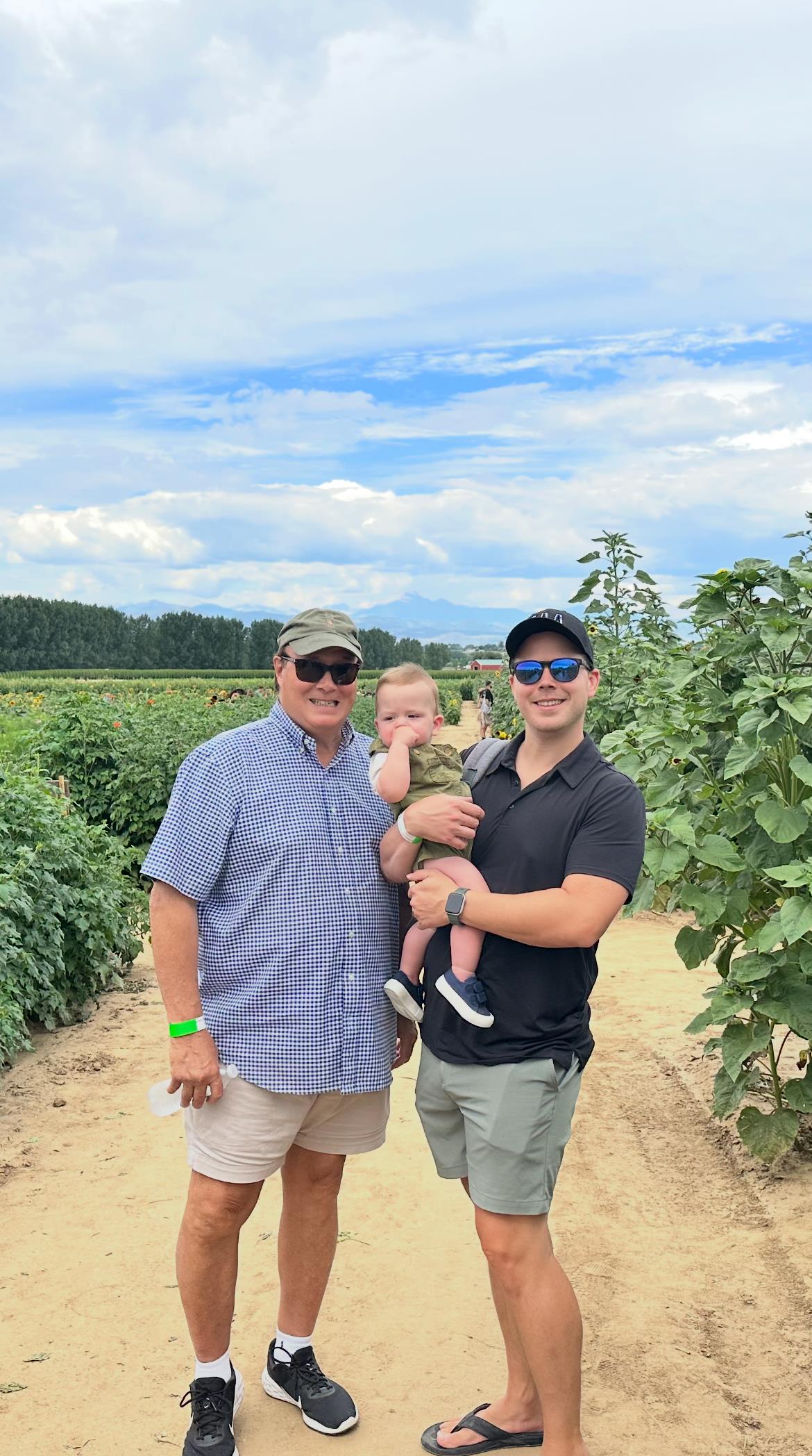 A grandfather and father hold a baby, enjoying a sunny day in a sunflower field during summer.