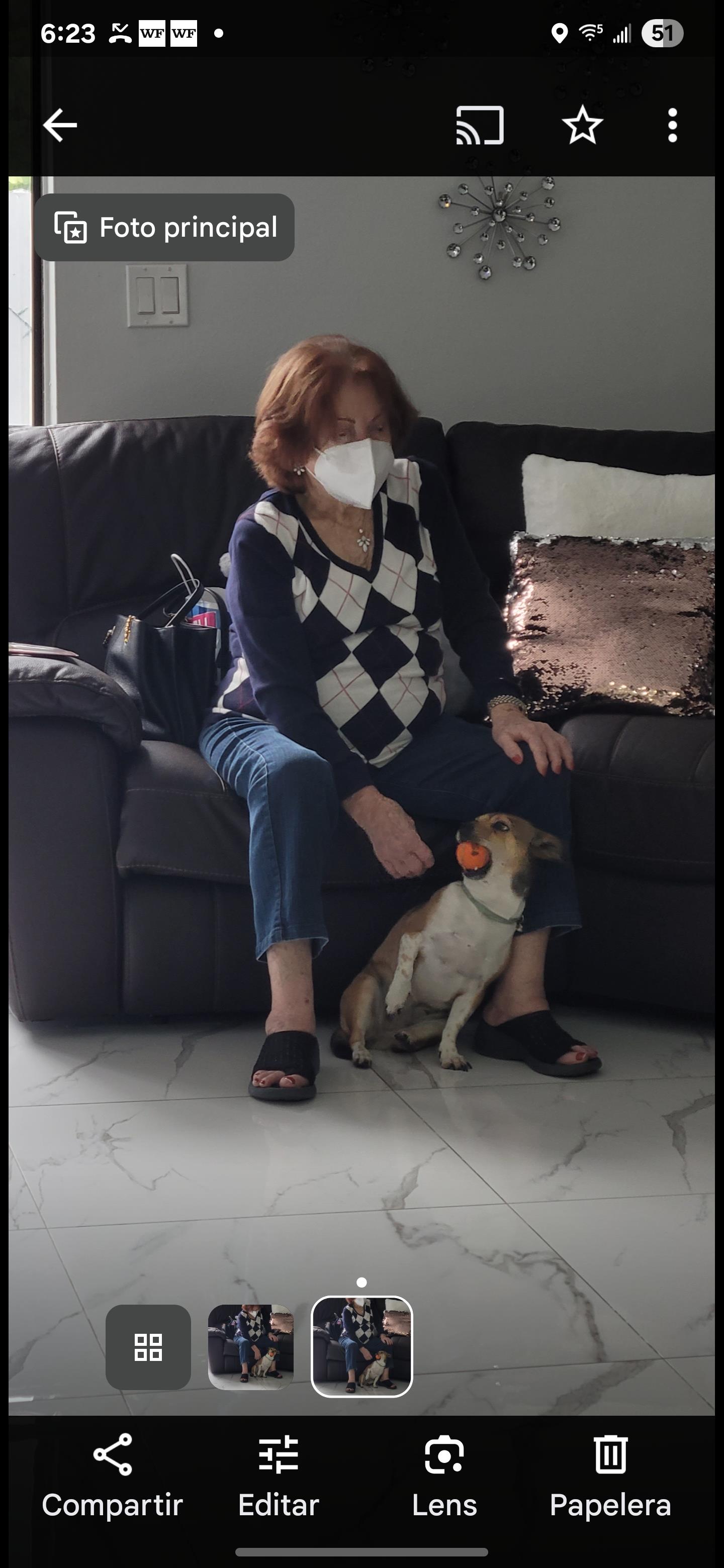 An elderly woman enjoys relaxing on a couch with a playful dog sitting nearby and holding a ball.